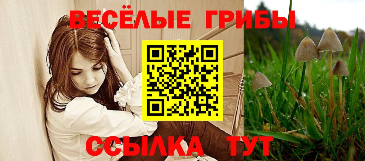 Ангарск  Галлюциногенные грибы мицелий  Вход с VPN 